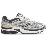 Silver/Gold