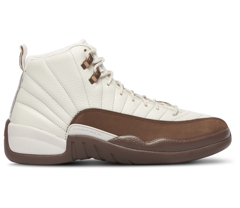 Jordan Retro 12