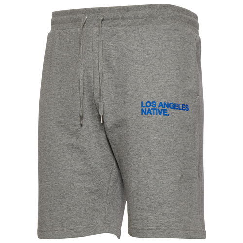 The Hometown Wave Mens  Native La Shorts In Heather Grey/blue