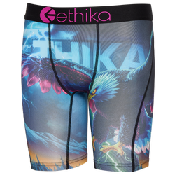 Boys' Grade School - Ethika Graphic Briefs - Teal/Purple