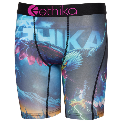 Ethika Boys' Cry of the Bolt Boxer Briefs, Large, Assorted