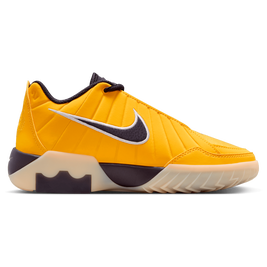 Nike Lebron Witness IX | Foot Locker