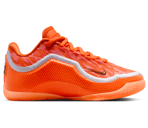 Nike LeBron XXIII Grade Shool