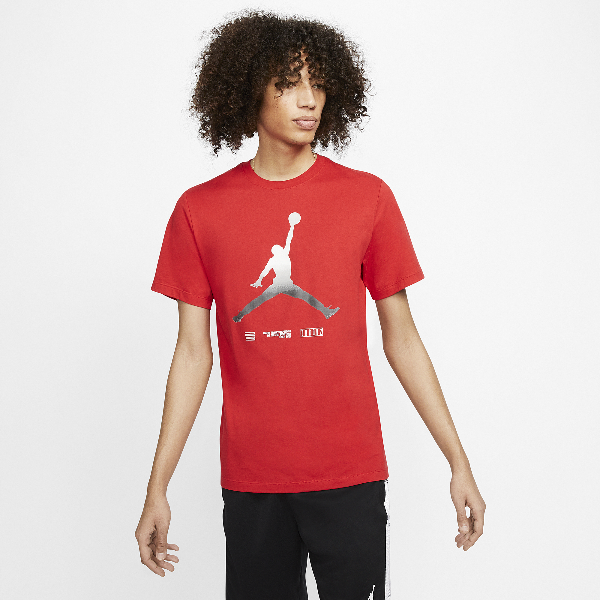 jordan 11 concord champs