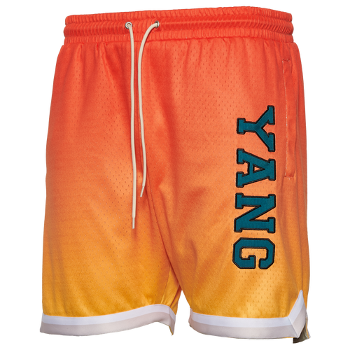Y.a.n.g Mens  Ombre Mesh Shorts In Multi/green