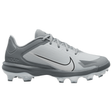 Cool Grey/White/Wolf Grey