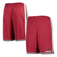 Foot locker 2024 champion shorts