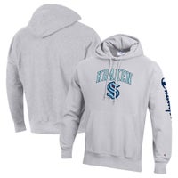 Foot locker champion online hoodies