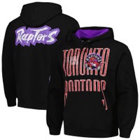 Raptors purple hoodie hot sale