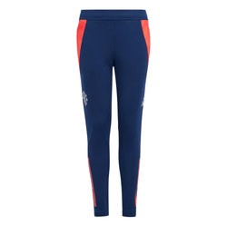 Boys' Grade School - adidas 2024/25 Training Pants - Blue