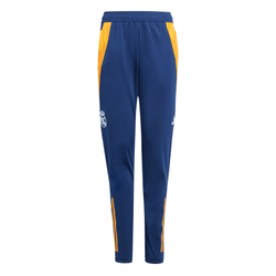 Boys' Grade School - adidas 2024/25 Training Pants - Blue