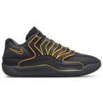 Black-Univ Gold-Anthracite