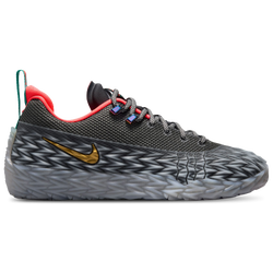 Men Shoes - Nike S.T. Flare 2 - Iron Grey-Mtlc Gold-Photon Dust