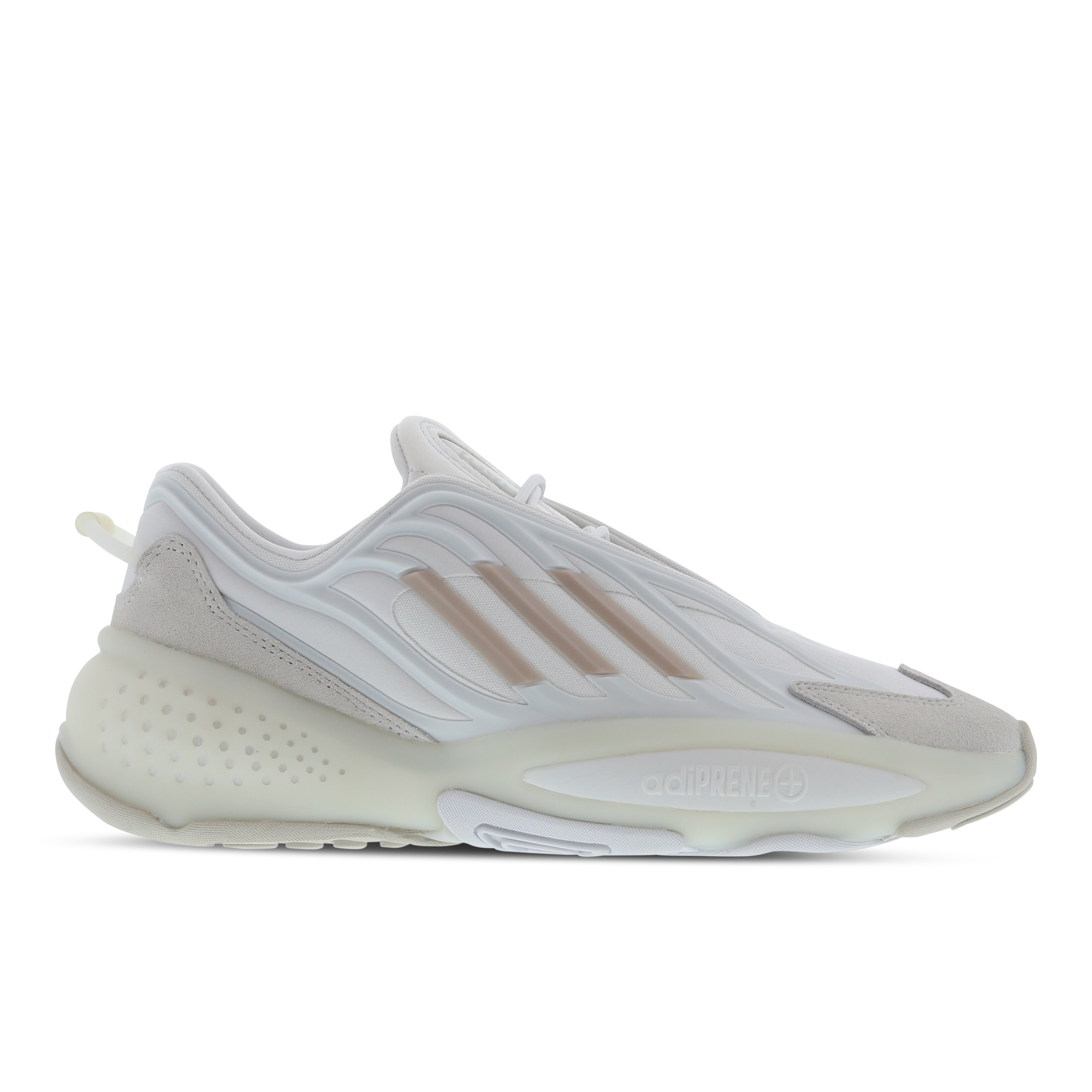 foot locker basket nike