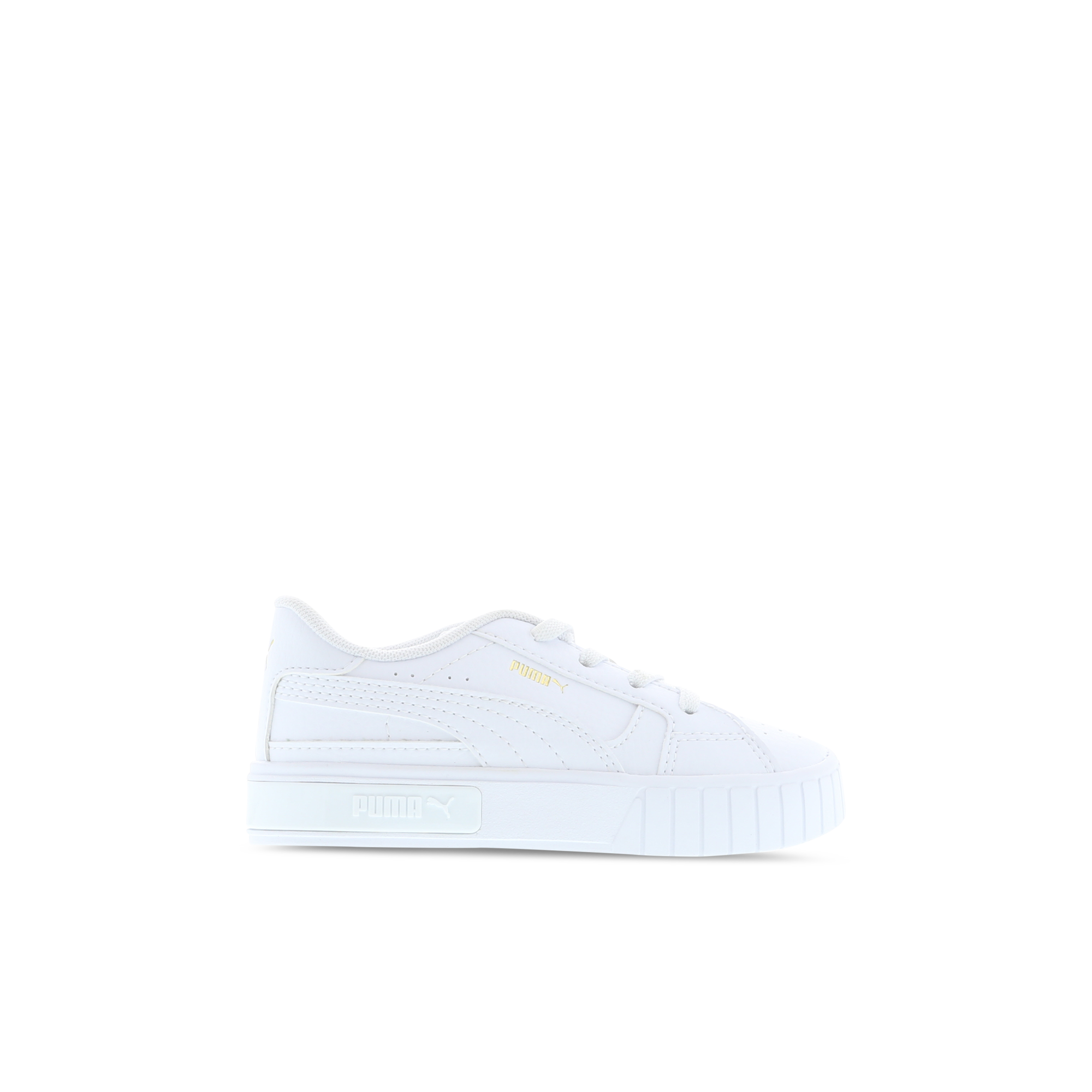 infant puma cali