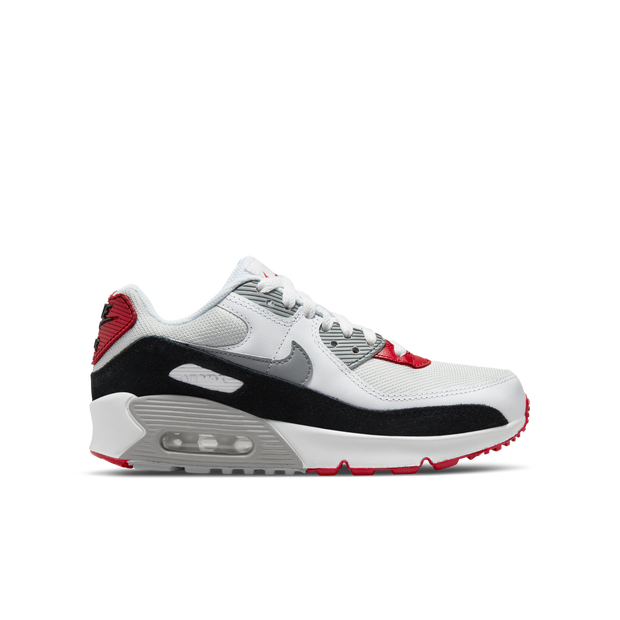 Nike Air Max 90 Leather Pr Type - Grade School Shoes