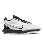 White-Black-Bicoastal- Lebron James