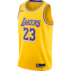 Men Jerseys/Replicas - Nike Lebron James - Amarillo-Field Purple