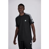 Black-Black