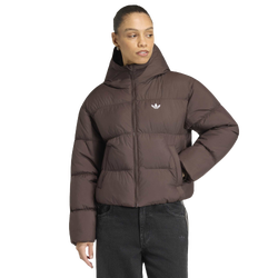 Women Jackets - adidas Puffer Jacket - Aurora Coffee