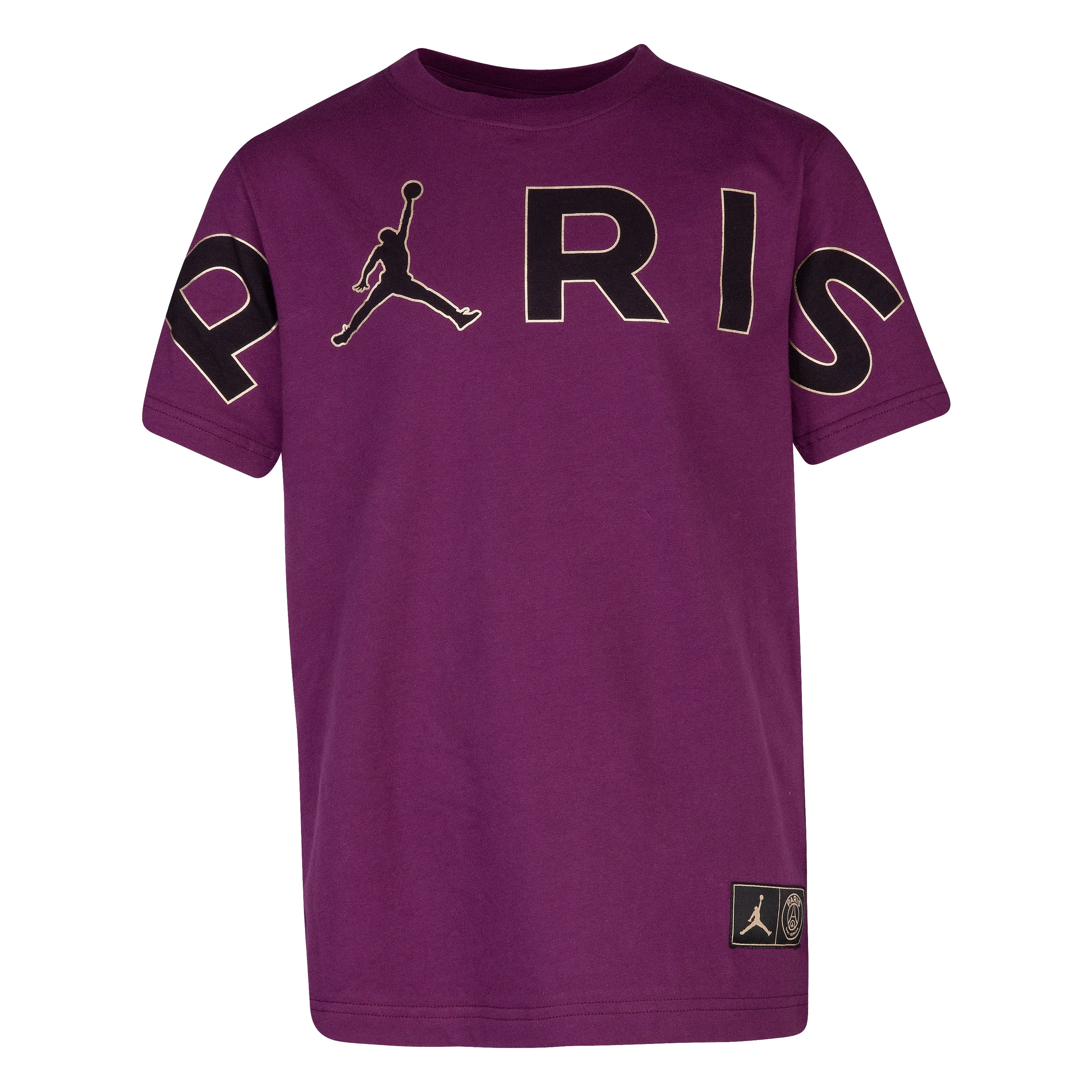 air jordan 6 psg footlocker