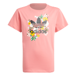 Hazy Rose-Multicolor-Black