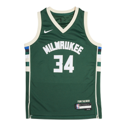 Grade School Jerseys/Replicas - Nike 8-15 Year Old Giannis Milwaukee Bucks NBA Jersey - Fir-Fir