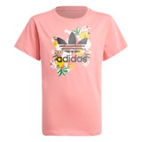 Hazy Rose-Multicolor-Black