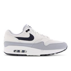 Men Shoes - Nike Air Max 1 - Platinum Tint-Dark Obsidian