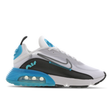 White-Cool Grey-Dusty Cactus