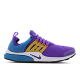 Wild Berry-Fierce Purple-Gold
