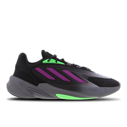 Heren Schoenen - adidas Ozelia - Black-Purple-Green