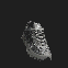 adidas Megaride - Image 3 of 9 