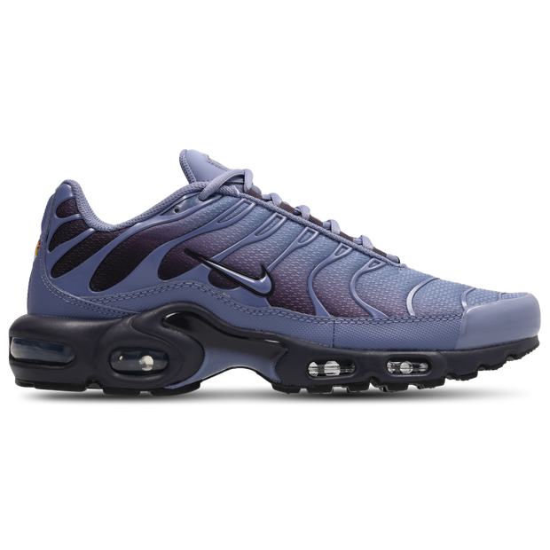 Nike Men's Air Max Plus Og Sneaker in Indigo/Purple/Black - DM0032-404