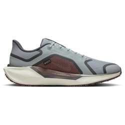 Heren Schoenen - Nike Pegasus 41 - Light Pumice-Burgundy Crush