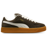 Chestnut Brown-Warm White-Gold
