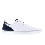 Blue-White