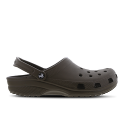 Women Shoes - Crocs Classic Clog - Chocolate-Chocolate