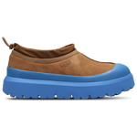 Chestnut-Chestnut