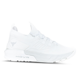 White-Halo Gray
