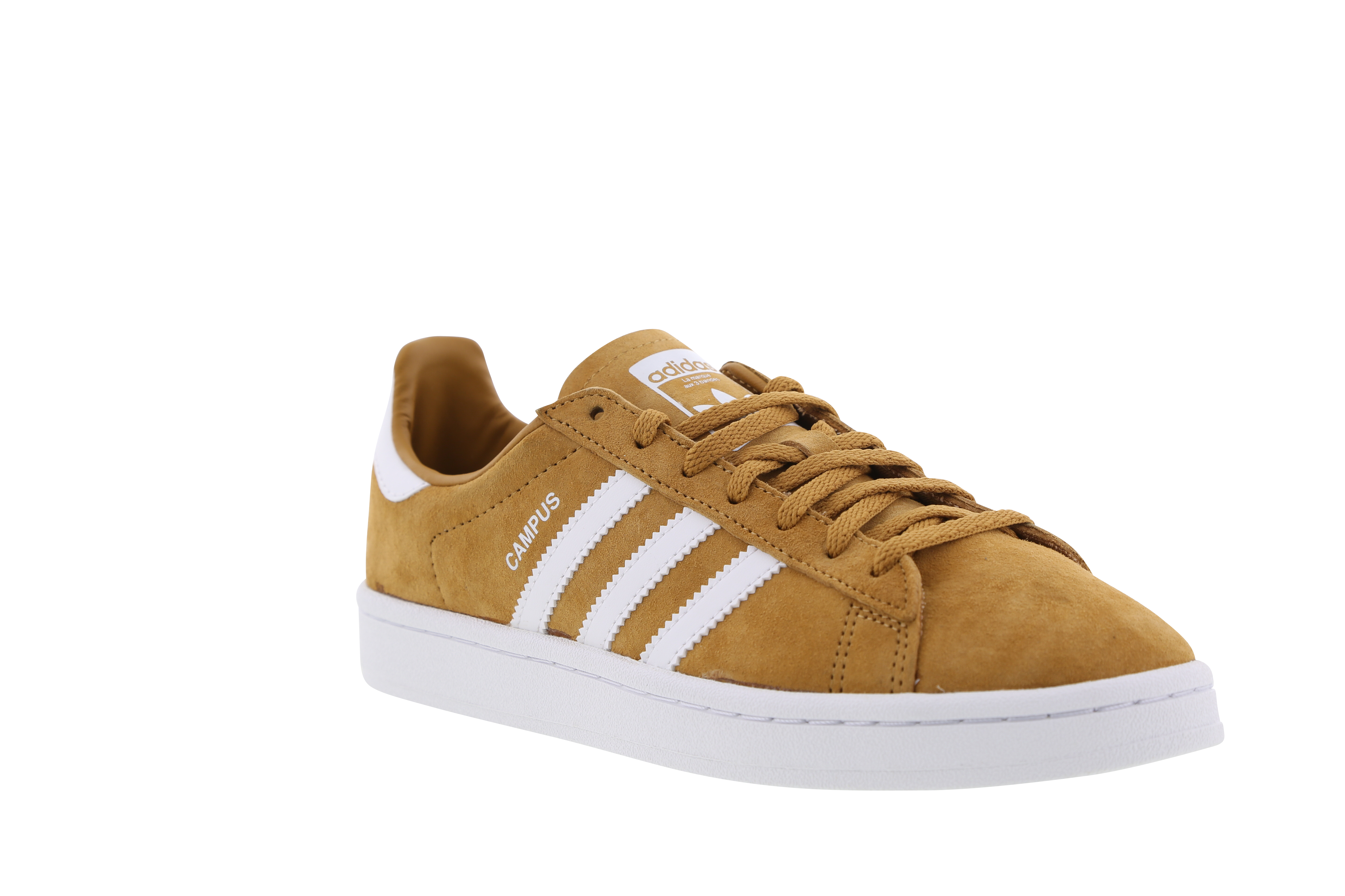 adidas campus donna