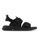 Black-Black