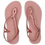 Crocus Rose-Crocus Rose