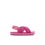 Carnation-White-Pink