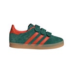 Collegiate Green-Preloved Red-Gum