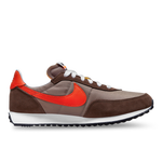 Moon Fossil-Team Orange-Ironstone