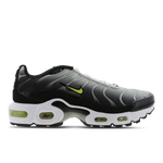 Black-Brt Cactus-Lt Silver