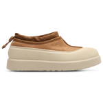 Chestnut-Whitecap