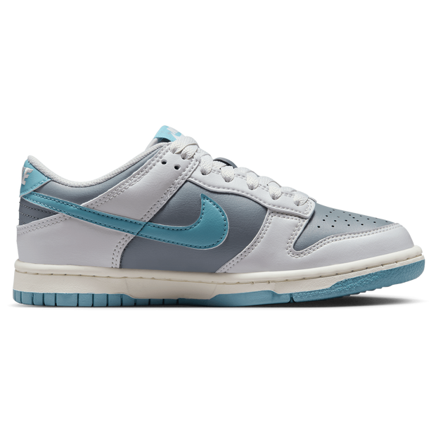 Nike Dunk Low Kinderschoenen - Grijs - FB9109-008