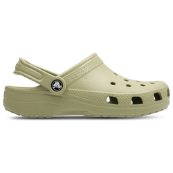 Scuola elementare e media Scarpe - Crocs Classic Clog - Tac Green-Tac Green